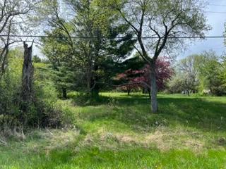 View of Land at XXXX First Street, Taylors Falls MN 55084, Taylors Falls - Mike Wilen | Minnesota Team Real Estate
