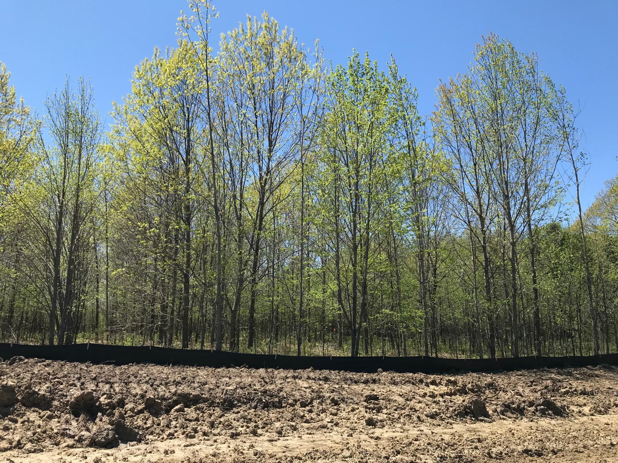 View of Land at L1 B2 DOROTHY WAY, Prior Lake MN 55372, Prior Lake - Mike Wilen | Minnesota Team Real Estate