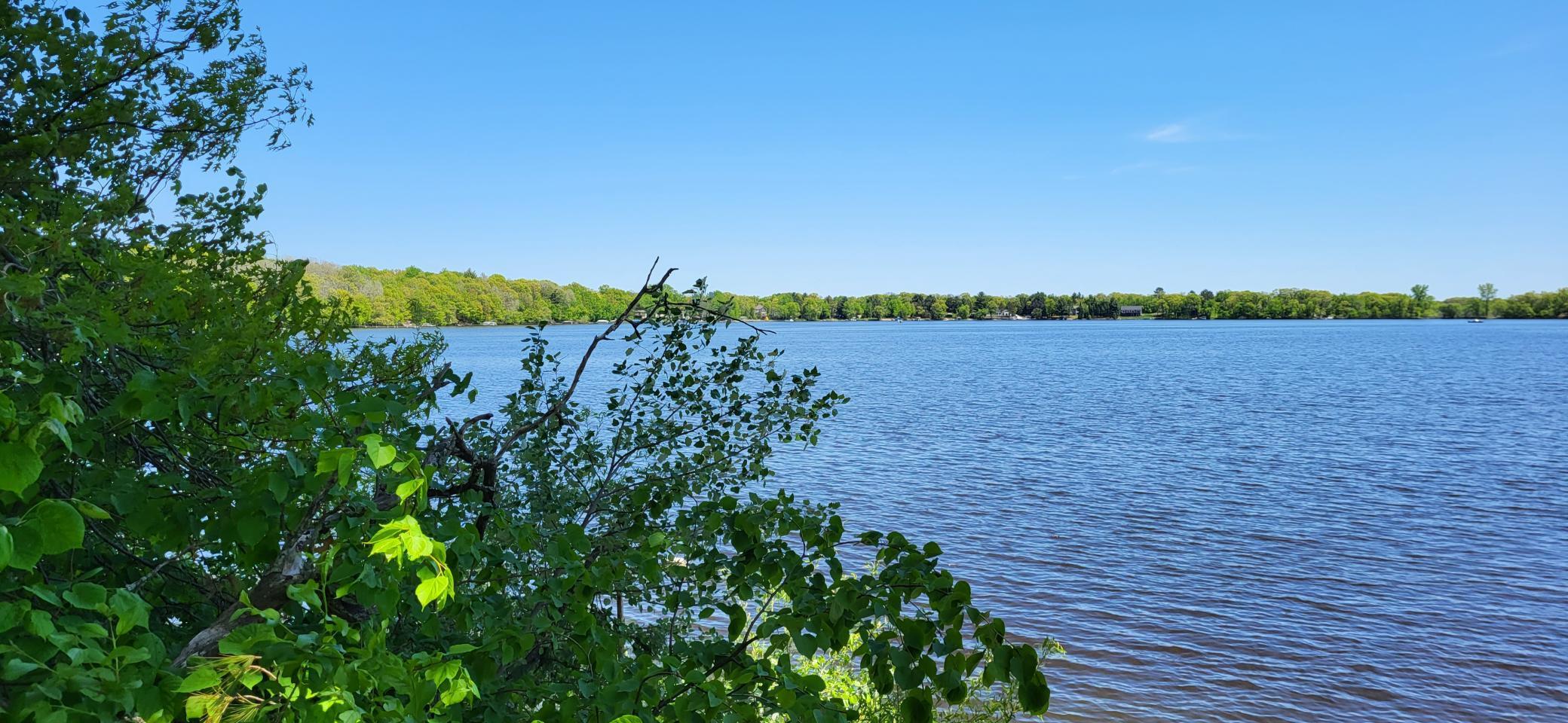 View of Land at 23131 Martin Lake Drive, Stacy MN 55079, Stacy - Mike Wilen | Minnesota Team Real Estate