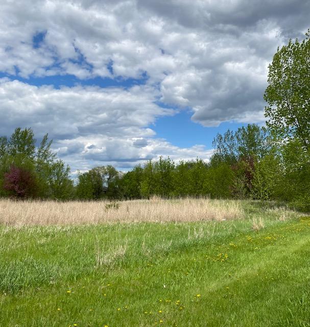 View of Land at XXXX 1st Street, New Prague MN 56071, New Prague - Mike Wilen | Minnesota Team Real Estate