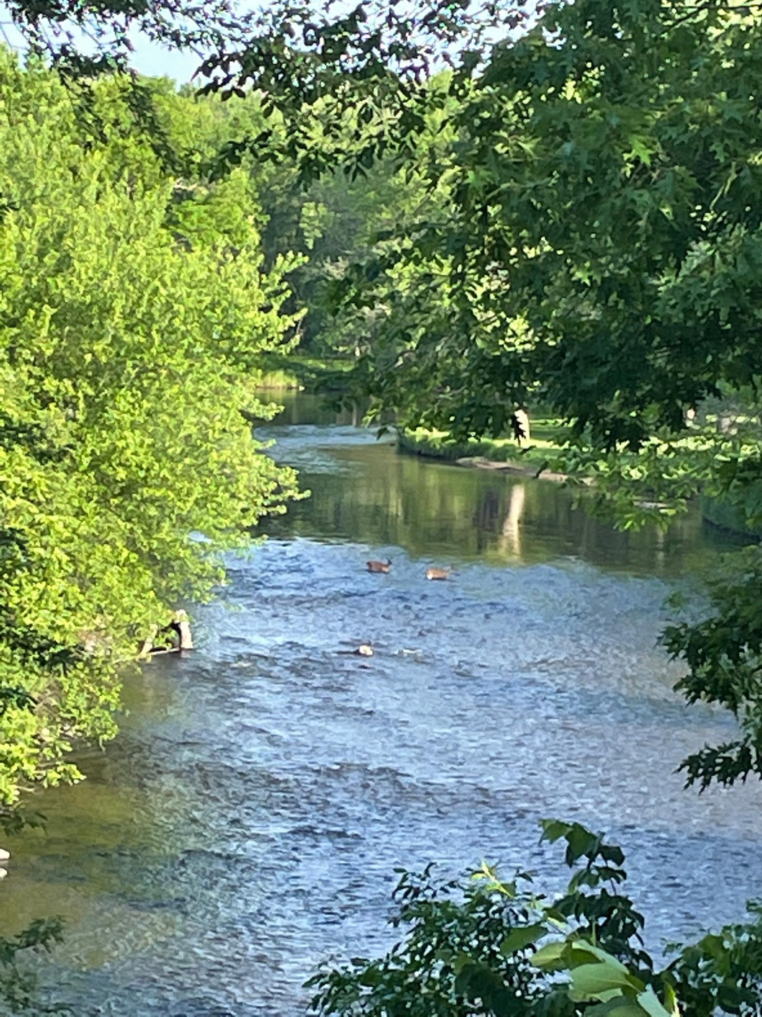 View of Land at 1219X 170th St, Milaca MN 56353, Milaca - Mike Wilen | Minnesota Team Real Estate