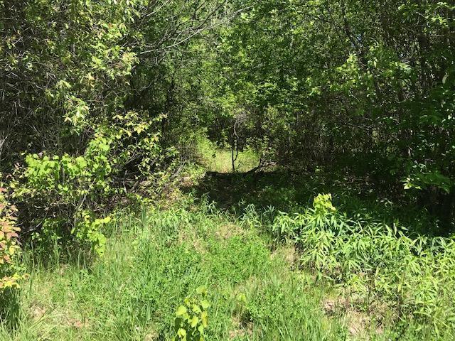 View of Land at 591 62nd Street, Lino Lakes MN 55014, Lino Lakes - Mike Wilen | Minnesota Team Real Estate