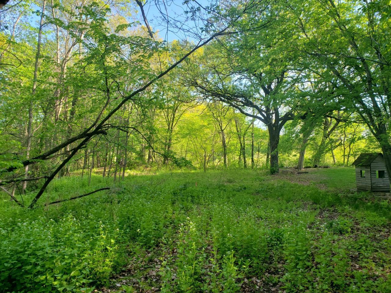 View of Land at XXX Country Drive, Prior Lake MN 55372, Prior Lake - Mike Wilen | Minnesota Team Real Estate