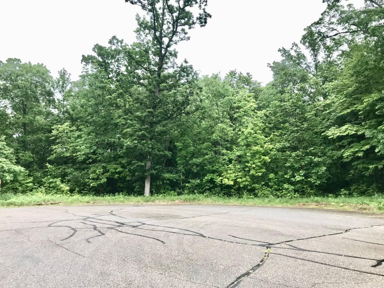 View of Land at xxx 263rd Street, Shafer MN 55074, Shafer (19 of 20) - Mike Wilen | Minnesota Team Real Estate