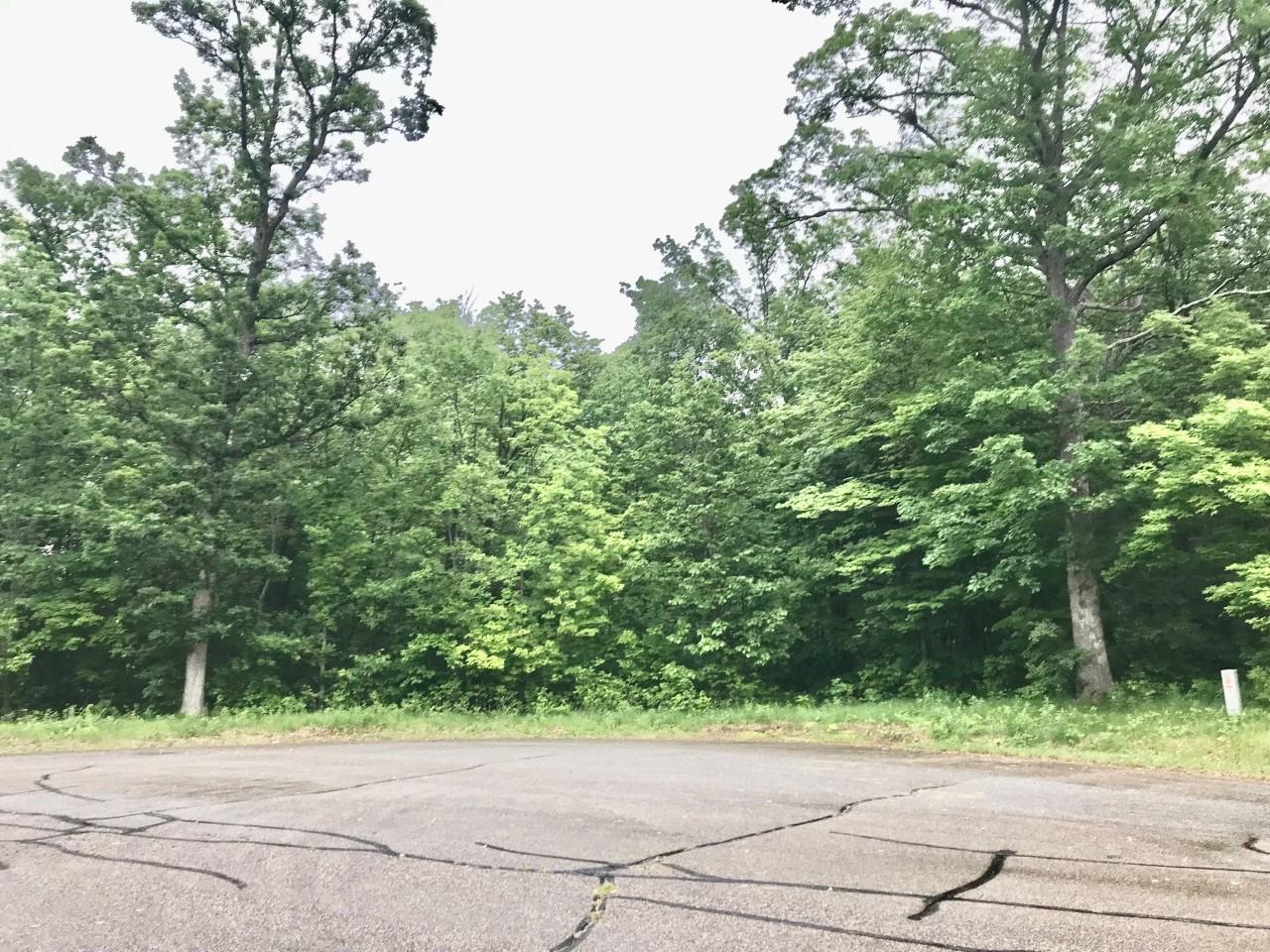 View of Land at xxx 263rd Street, Shafer MN 55074, Shafer (15 of 20) - Mike Wilen | Minnesota Team Real Estate