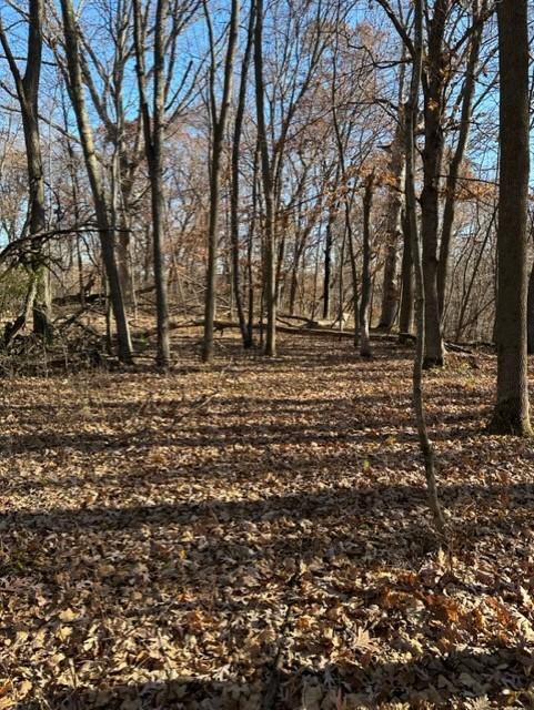 View of Land at xxx 263rd Street, Shafer MN 55074, Shafer (7 of 20) - Mike Wilen | Minnesota Team Real Estate