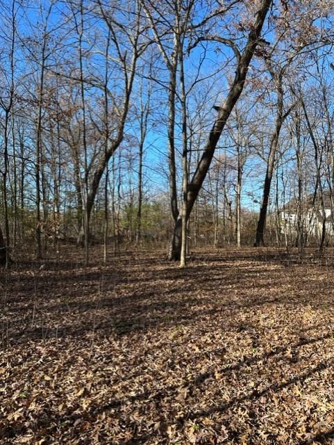 View of Land at xxx 263rd Street, Shafer MN 55074, Shafer (11 of 20) - Mike Wilen | Minnesota Team Real Estate