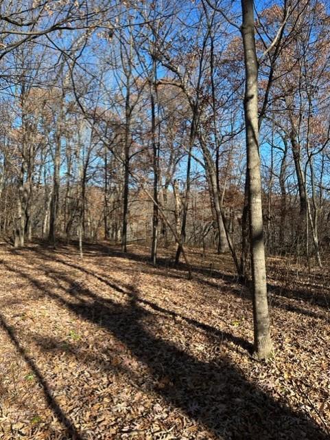View of Land at xxx 263rd Street, Shafer MN 55074, Shafer (10 of 20) - Mike Wilen | Minnesota Team Real Estate