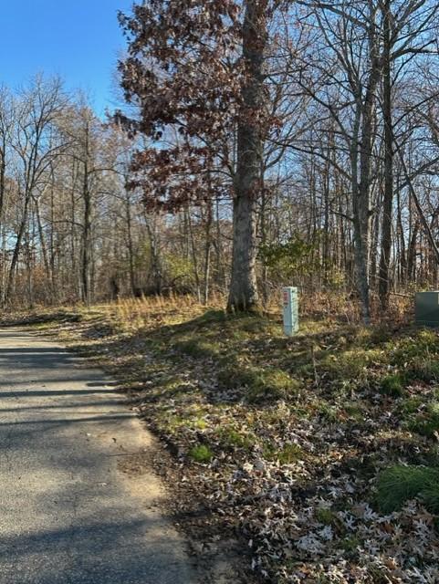View of Land at xxx 263rd Street, Shafer MN 55074, Shafer (18 of 20) - Mike Wilen | Minnesota Team Real Estate