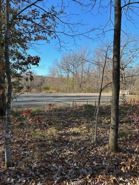 View of Land at xxx 263rd Street, Shafer MN 55074, Shafer (14 of 20) - Mike Wilen | Minnesota Team Real Estate