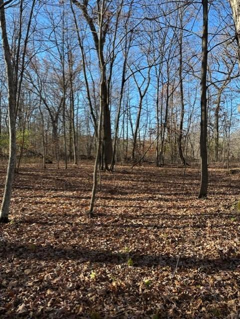 View of Land at xxx 263rd Street, Shafer MN 55074, Shafer (9 of 20) - Mike Wilen | Minnesota Team Real Estate