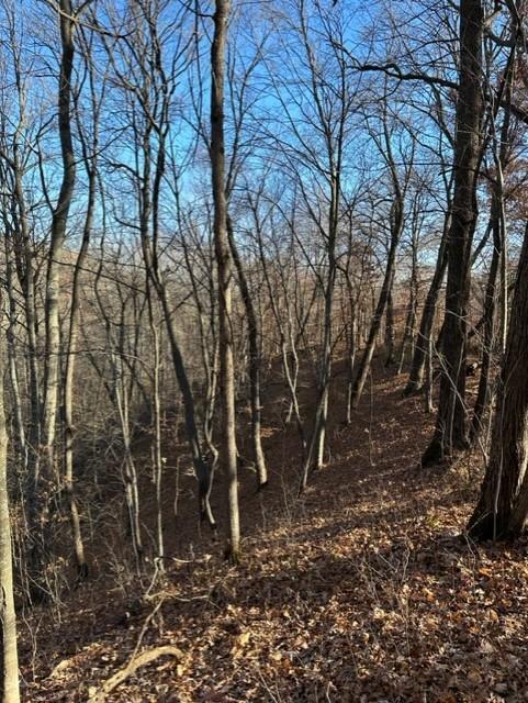 View of Land at xxx 263rd Street, Shafer MN 55074, Shafer (17 of 20) - Mike Wilen | Minnesota Team Real Estate