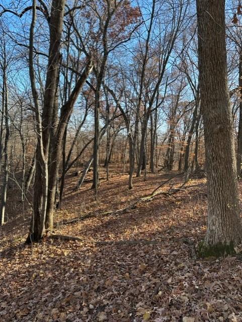 View of Land at xxx 263rd Street, Shafer MN 55074, Shafer (12 of 20) - Mike Wilen | Minnesota Team Real Estate