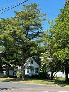 View of Residential at 13060 Newell Avenue, Lindstrom MN 55045, Lindstrom - Mike Wilen | Minnesota Team Real Estate
