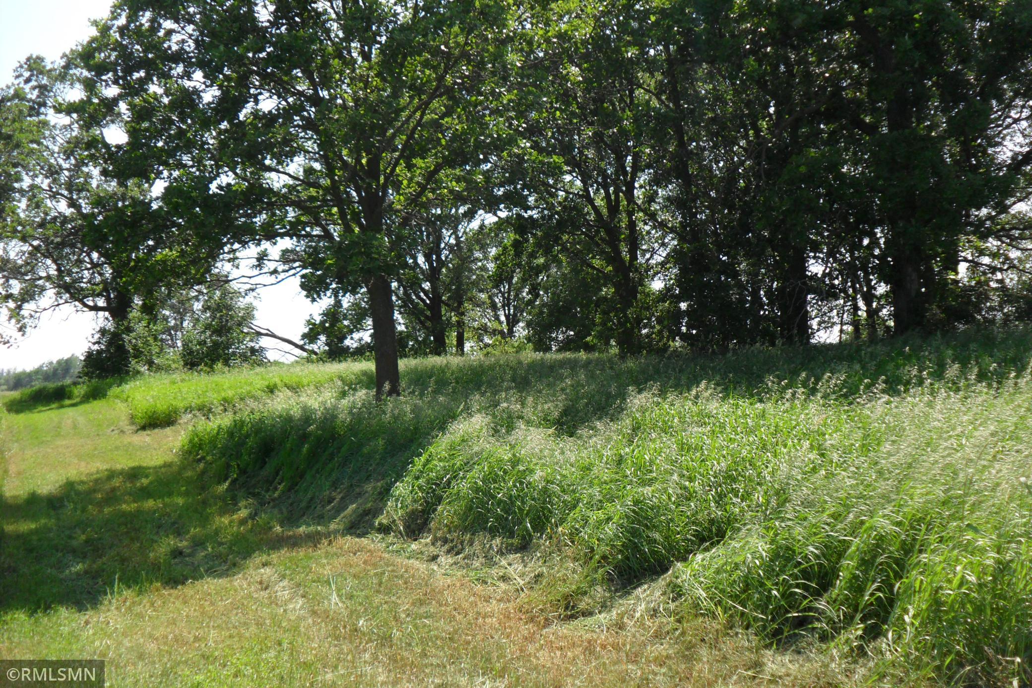 View of Land at 7xxx 525th Street, Rush City MN 55069, Rush City - Mike Wilen | Minnesota Team Real Estate