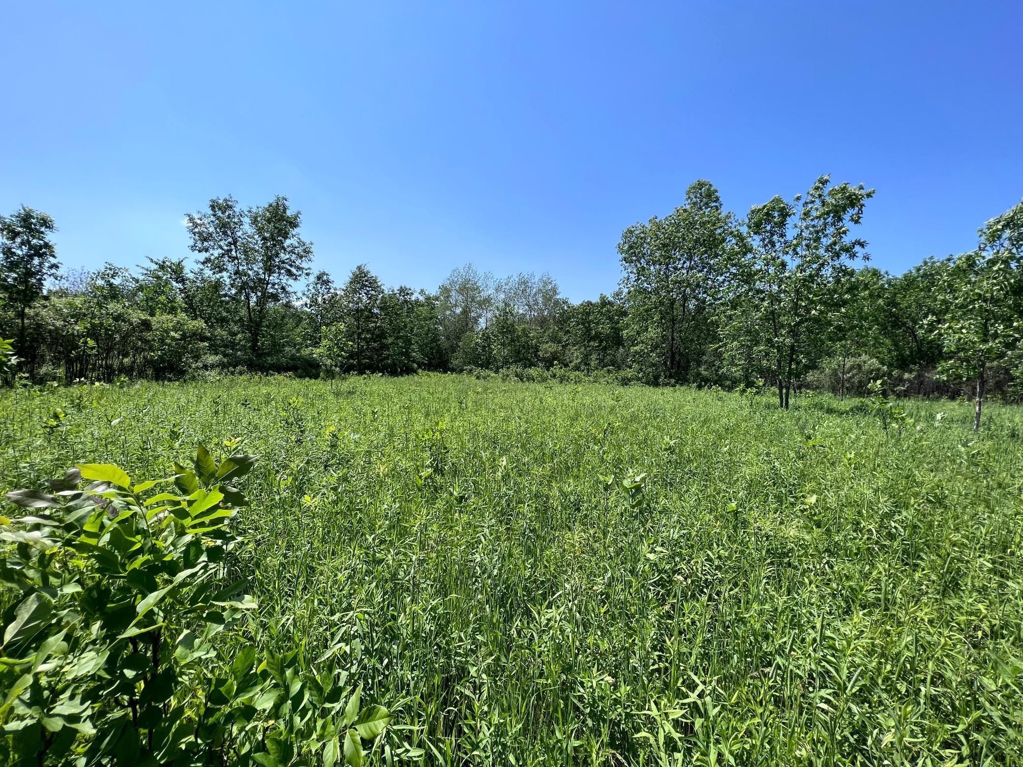 View of Land at XXX 172nd Street, Princeton MN 55398, Princeton - Mike Wilen | Minnesota Team Real Estate