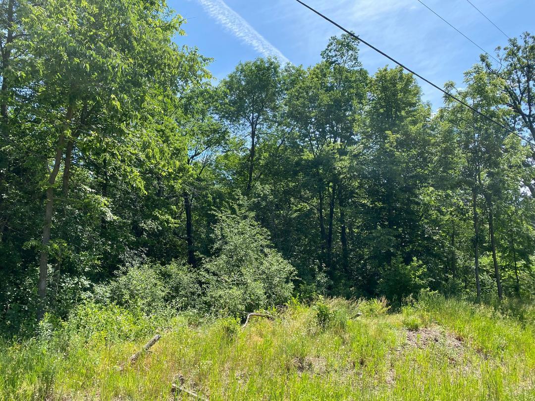 View of Land at L9 B1 54th Street, Clear Lake MN 55319, Clear Lake - Mike Wilen | Minnesota Team Real Estate
