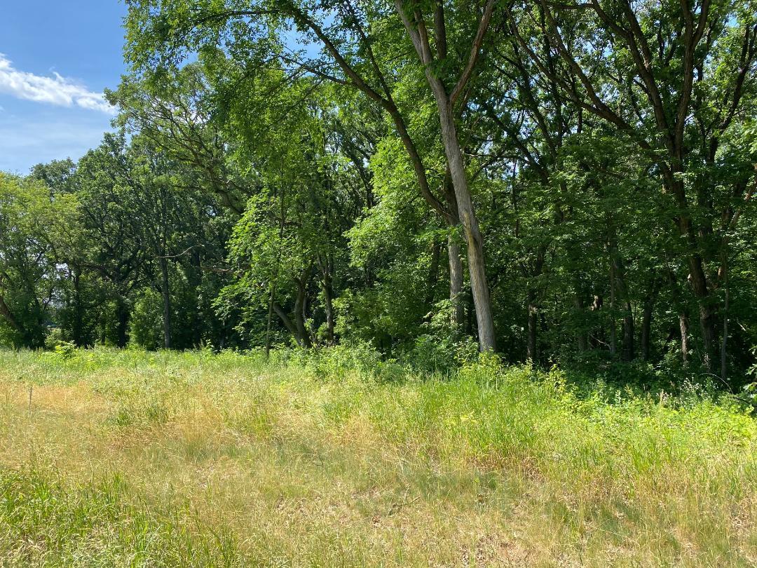 View of Land at L4 B2 54th Street, Clear Lake MN 55319, Clear Lake - Mike Wilen | Minnesota Team Real Estate