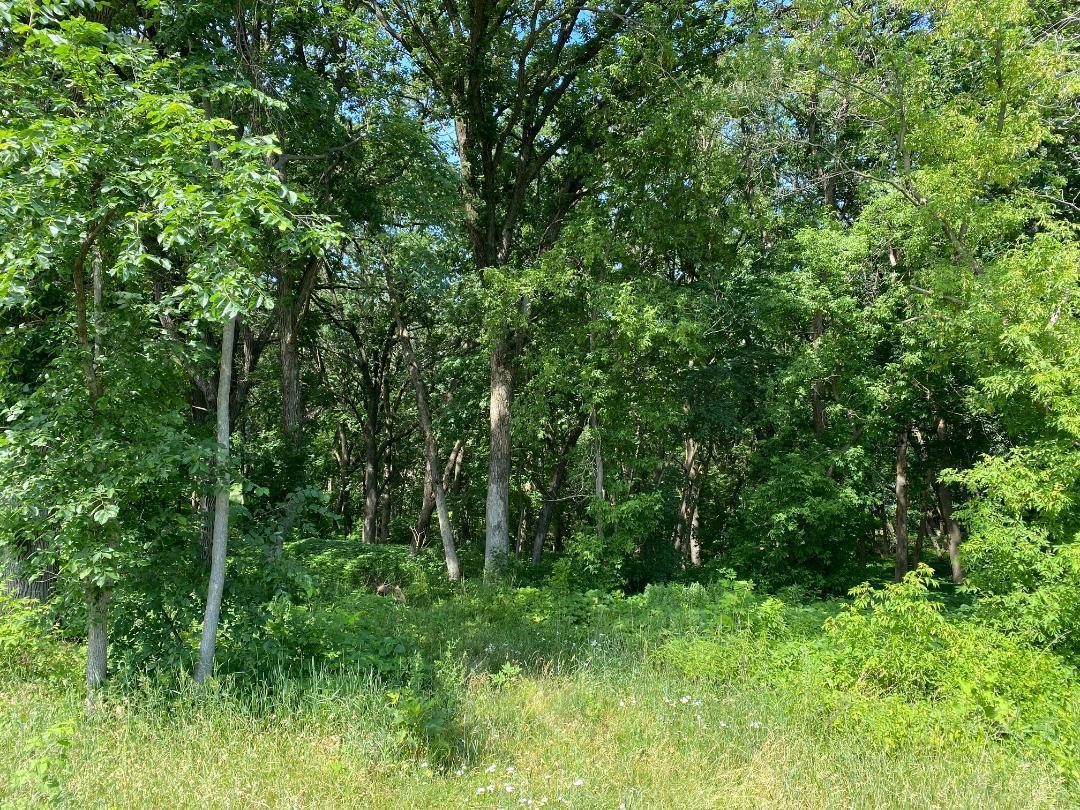 View of Land at L3 B2 54th Street, Clear Lake MN 55319, Clear Lake - Mike Wilen | Minnesota Team Real Estate