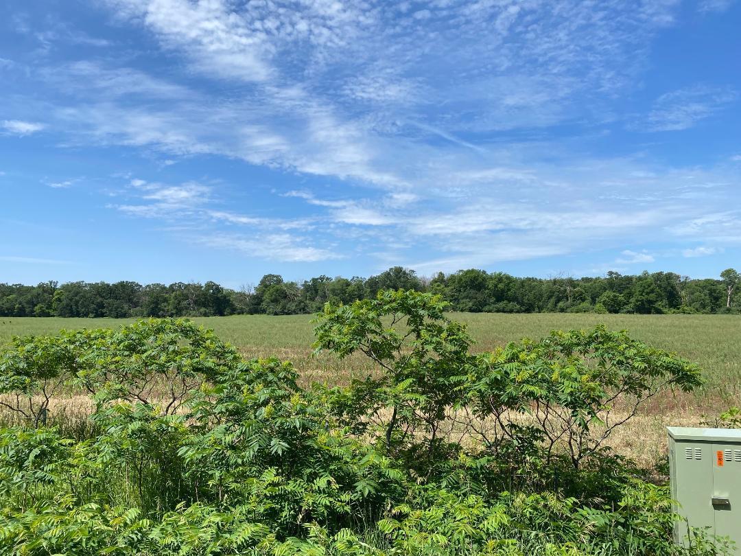 View of Land at L36 B1 115th Avenue, Clear Lake MN 55319, Clear Lake - Mike Wilen | Minnesota Team Real Estate