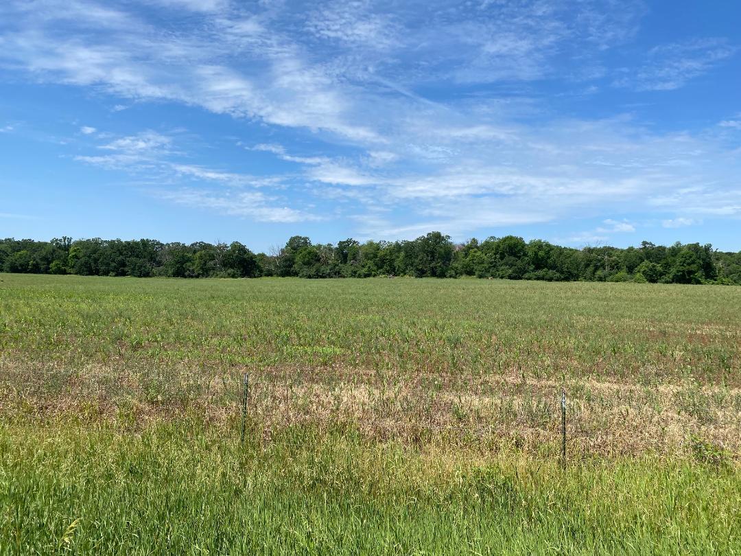 View of Land at L37 B1 115th Avenue, Clear Lake MN 55319, Clear Lake - Mike Wilen | Minnesota Team Real Estate