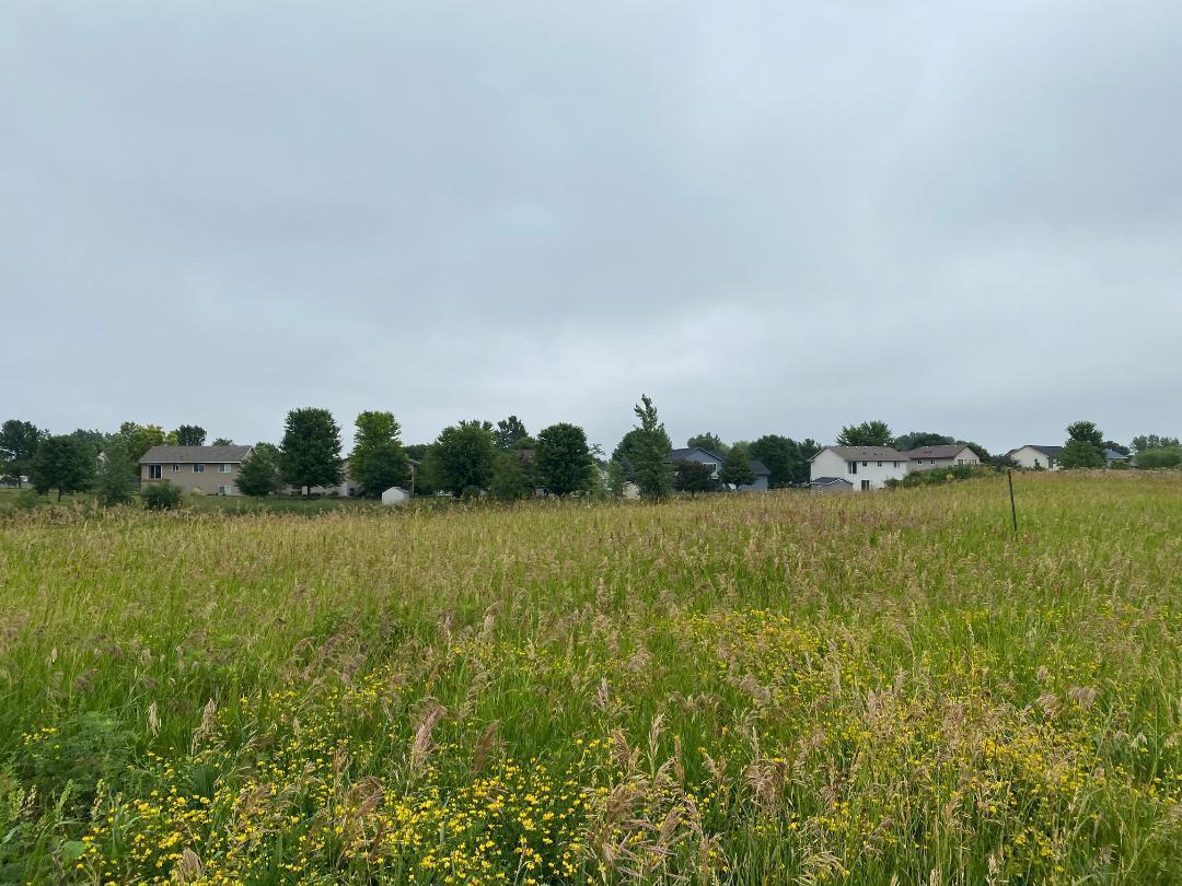 View of Land at 1603 11th Street, Buffalo MN 55313, Buffalo - Mike Wilen | Minnesota Team Real Estate