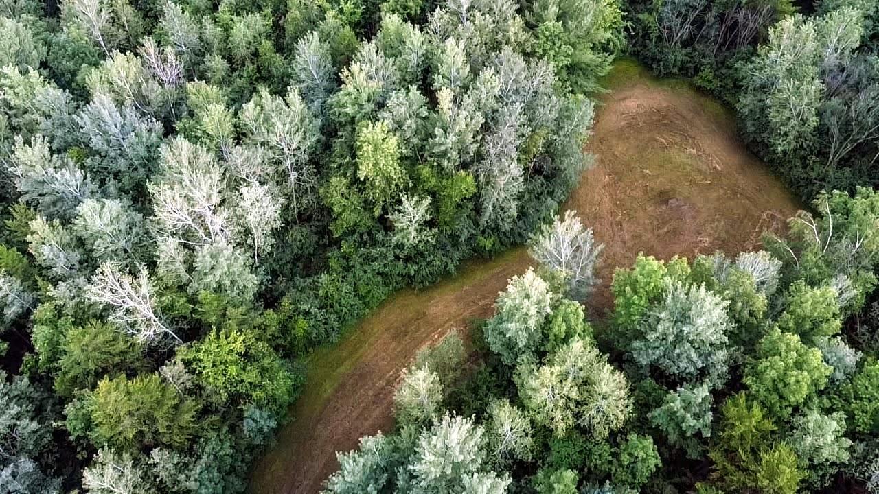 View of Land at 13553 Golden Road, Milaca MN 56353, Milaca - Mike Wilen | Minnesota Team Real Estate