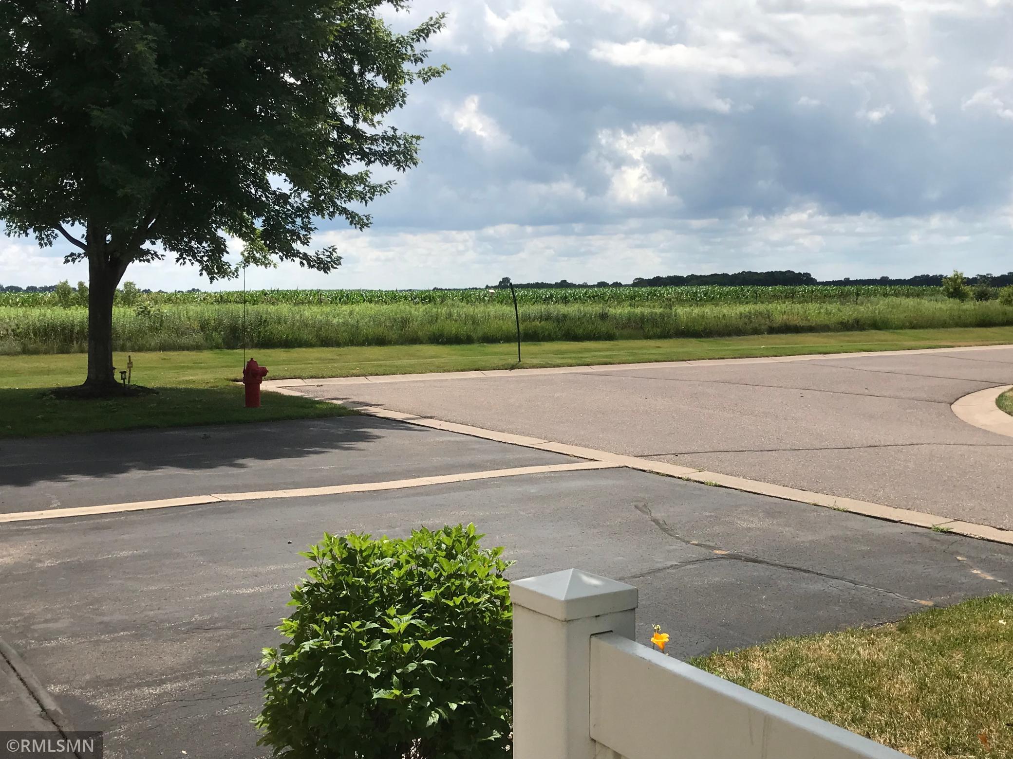 View of Residential at 407 Frederick Circle #1107, Hastings MN 55033, Hastings - Mike Wilen | Minnesota Team Real Estate