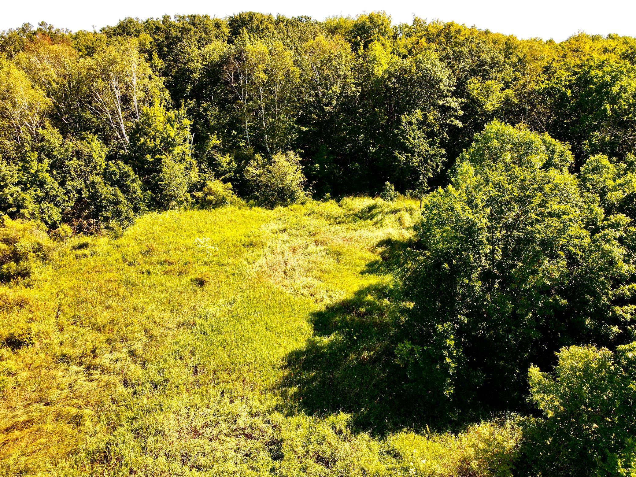 View of Land at 33467 Highway 47, Mora MN 56342, Mora - Mike Wilen | Minnesota Team Real Estate