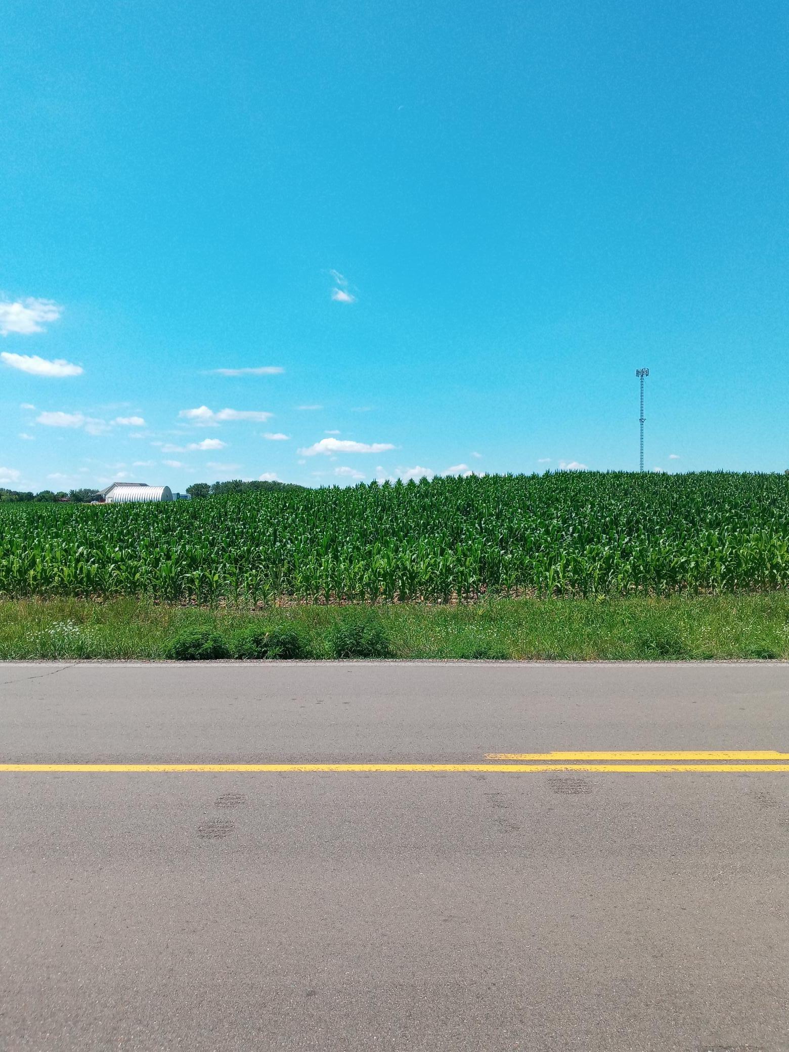 View of Land at xxx Polk Street, Cambridge MN 55008, Cambridge - Mike Wilen | Minnesota Team Real Estate