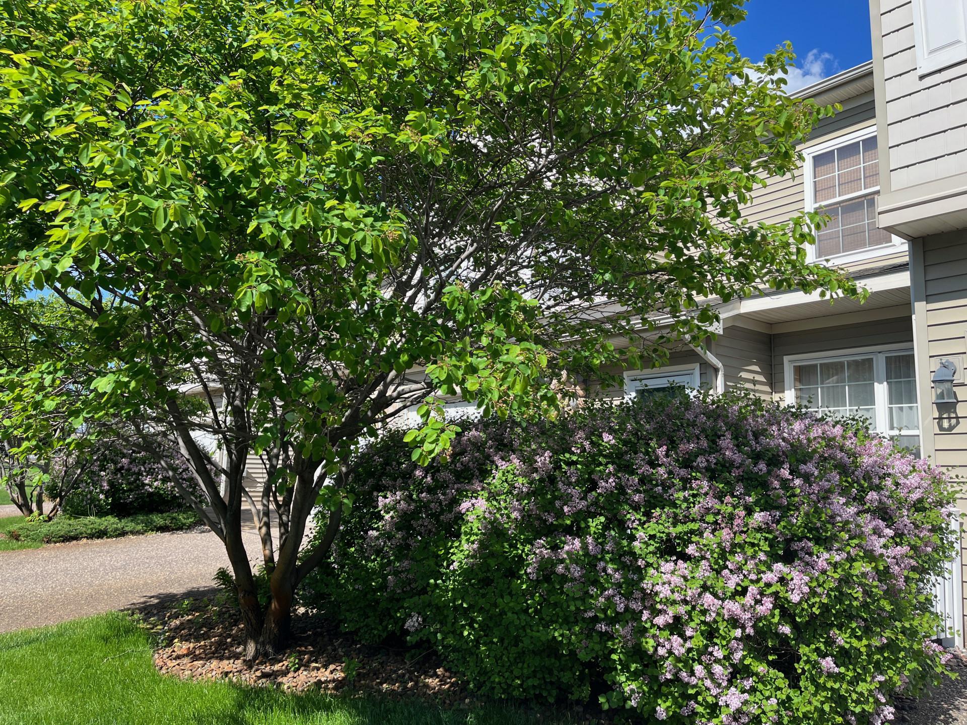 View of Residential at 1929 Bluestem Lane, Shoreview MN 55126, Shoreview - Mike Wilen | Minnesota Team Real Estate
