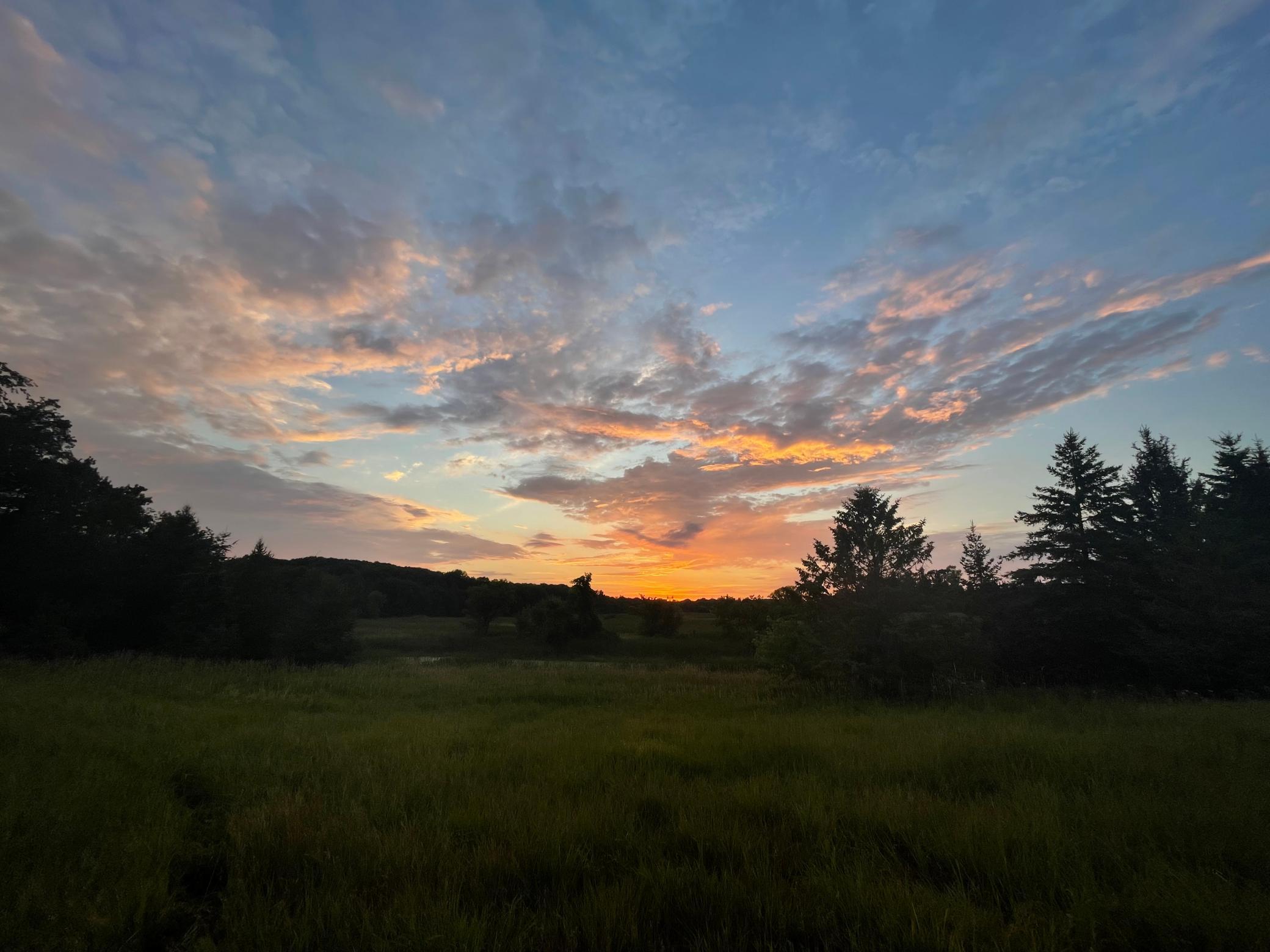 View of Land at XXX Independence Road, Independence MN 55359, Independence - Mike Wilen | Minnesota Team Real Estate