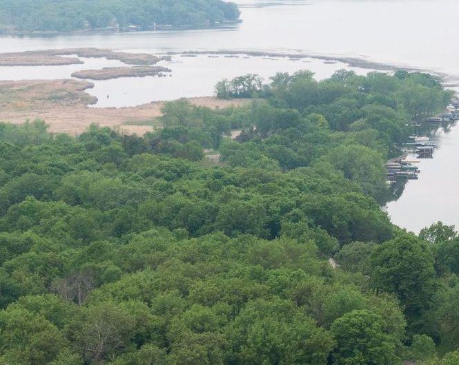 View of Land at 91XX Keats Ave, Annandale MN 55302, Annandale - Mike Wilen | Minnesota Team Real Estate