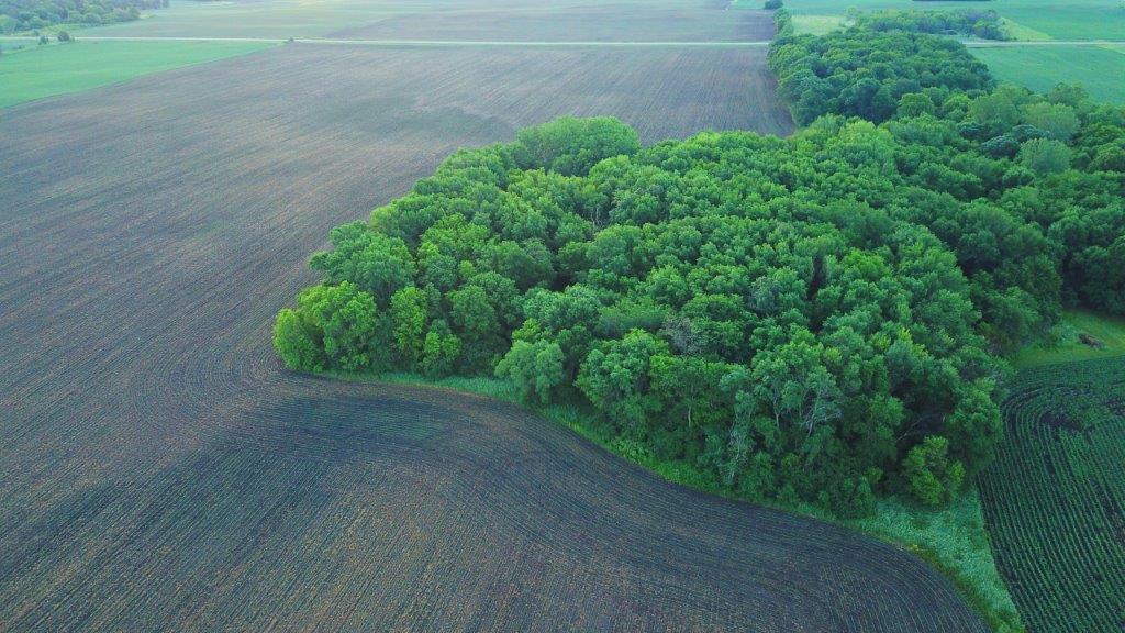 View of Land at XXX Reardon Avenue, Cokato MN 55321, Cokato - Mike Wilen | Minnesota Team Real Estate