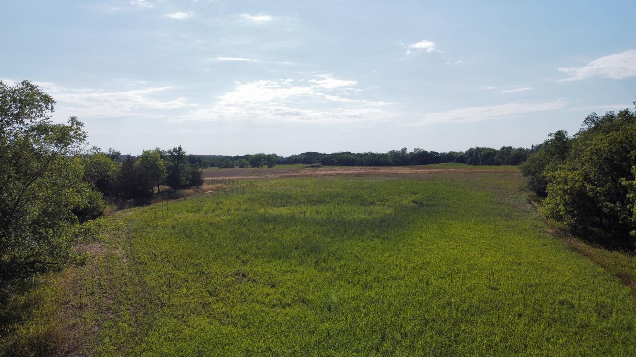 View of Land at TBD Gowan Avenue, Clearwater MN 55320, Clearwater - Mike Wilen | Minnesota Team Real Estate