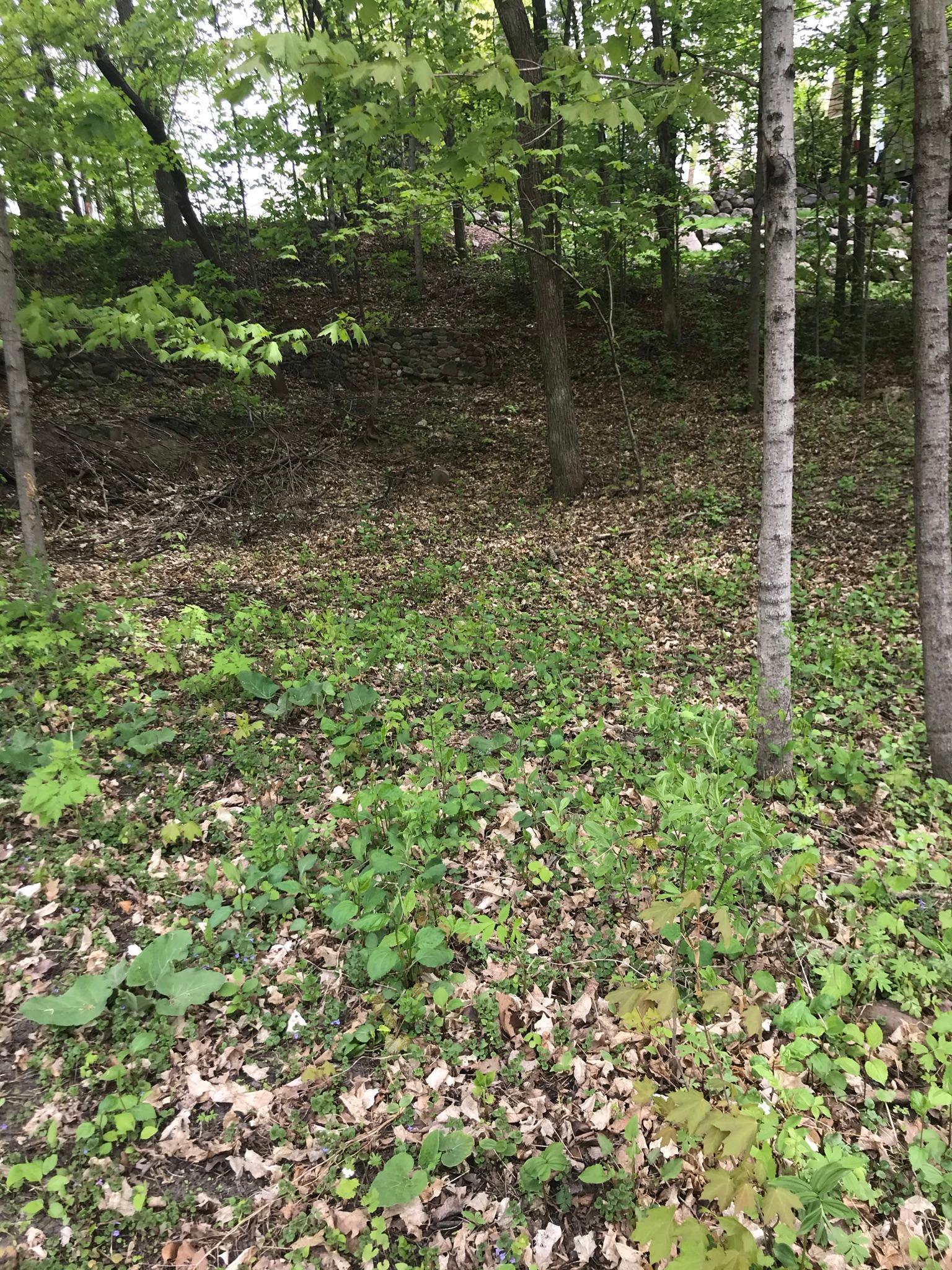 View of Land at 5159 Waterbury Rd, Mound MN 55364, Mound - Mike Wilen | Minnesota Team Real Estate