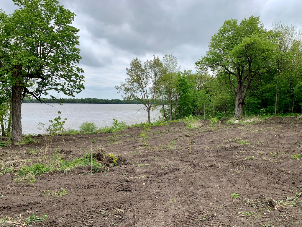 View of Land at xxxx Ingram Avenue NW, Maple Lake MN 55358, Maple Lake - Mike Wilen | Minnesota Team Real Estate