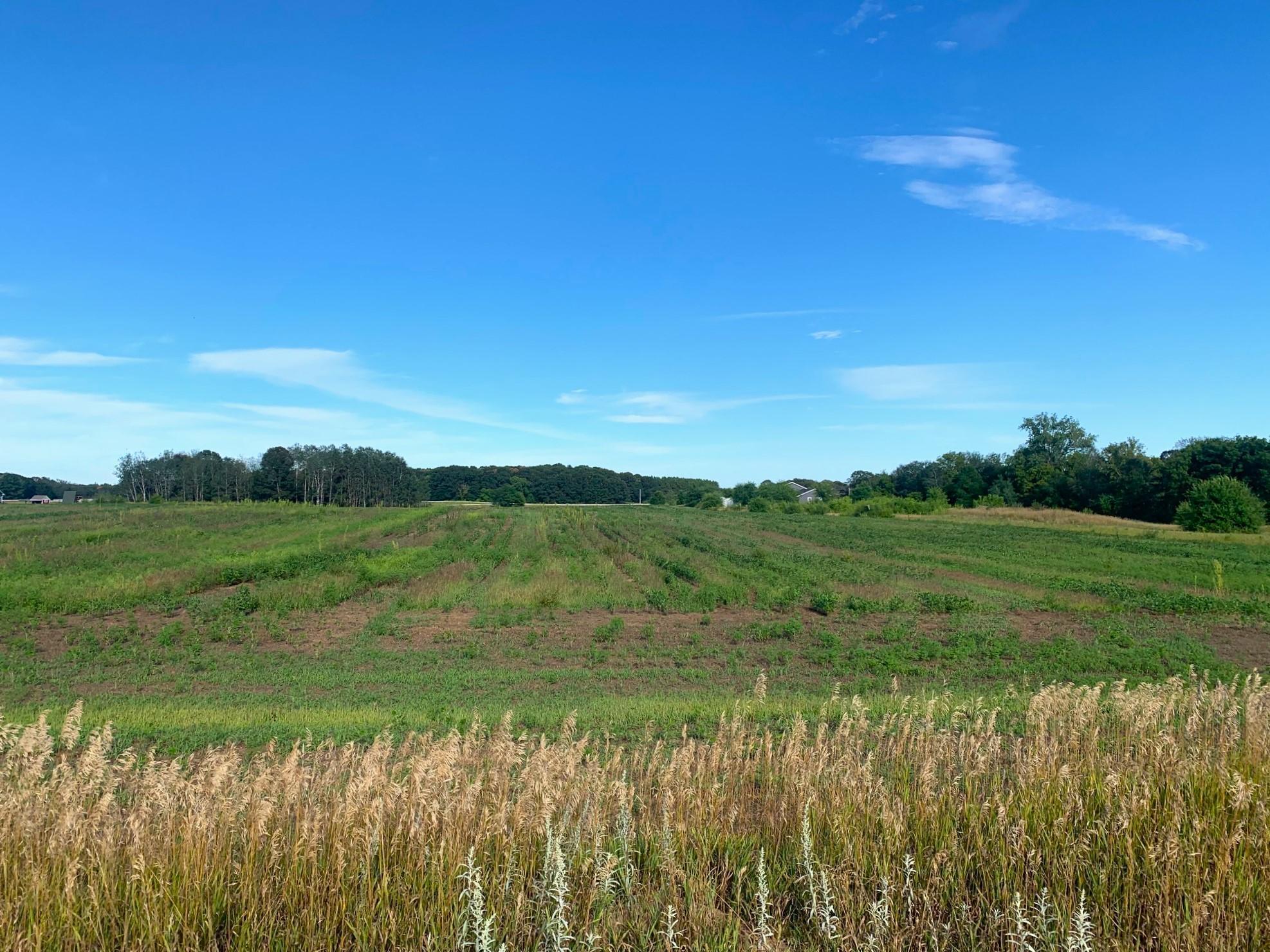 View of Land at XXXX 165th Avenue SE, Becker MN 55308, Becker - Mike Wilen | Minnesota Team Real Estate