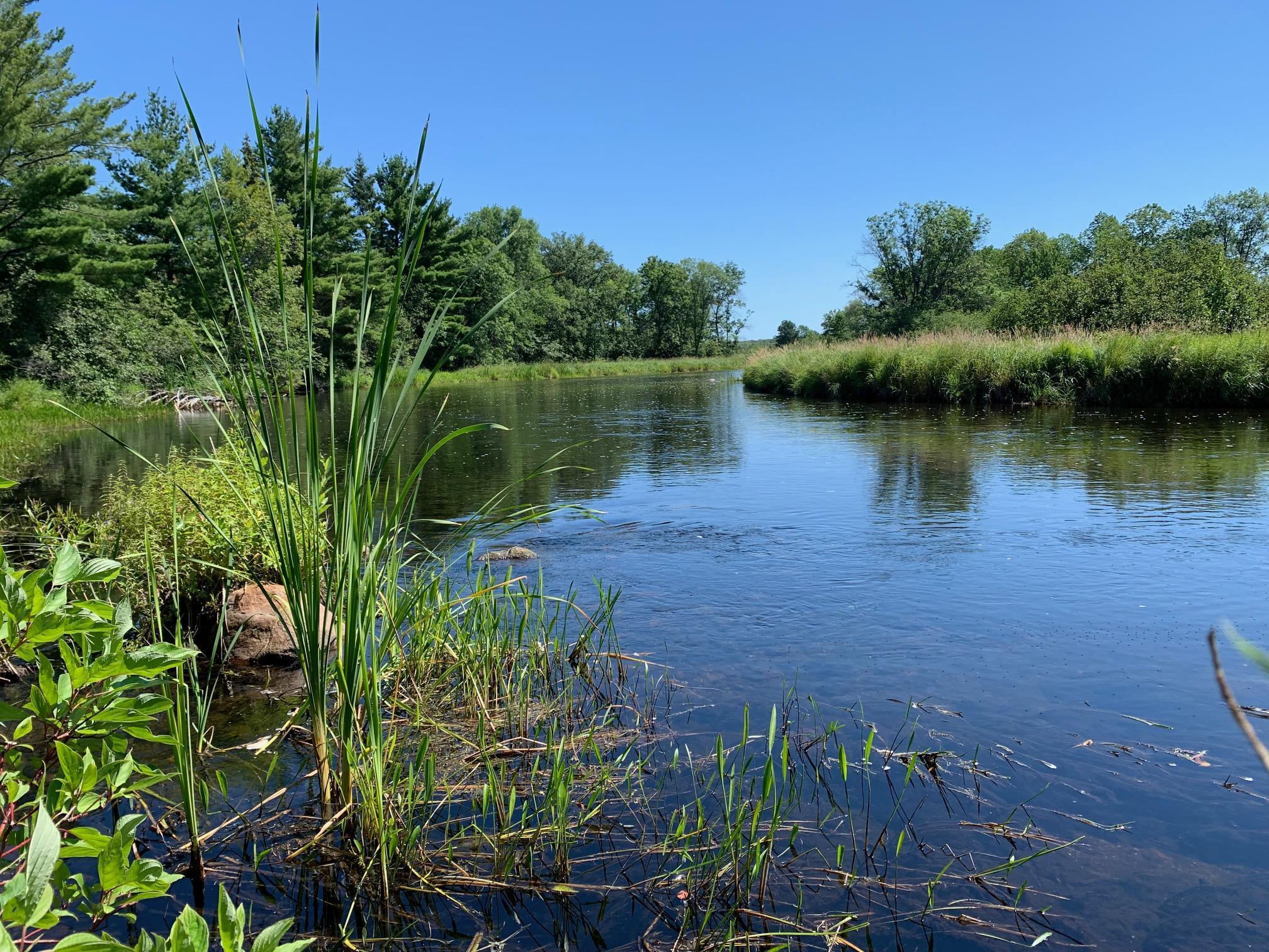 View of Land at 34104 125th Avenue, Onamia MN 56359, Onamia - Mike Wilen | Minnesota Team Real Estate