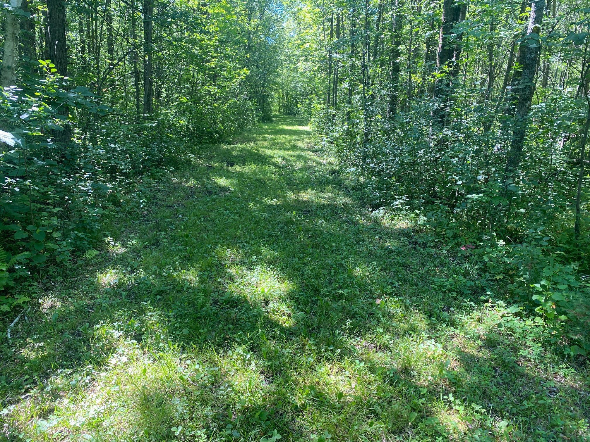 View of Land at XX 125th Avenue, Onamia MN 56359, Onamia - Mike Wilen | Minnesota Team Real Estate