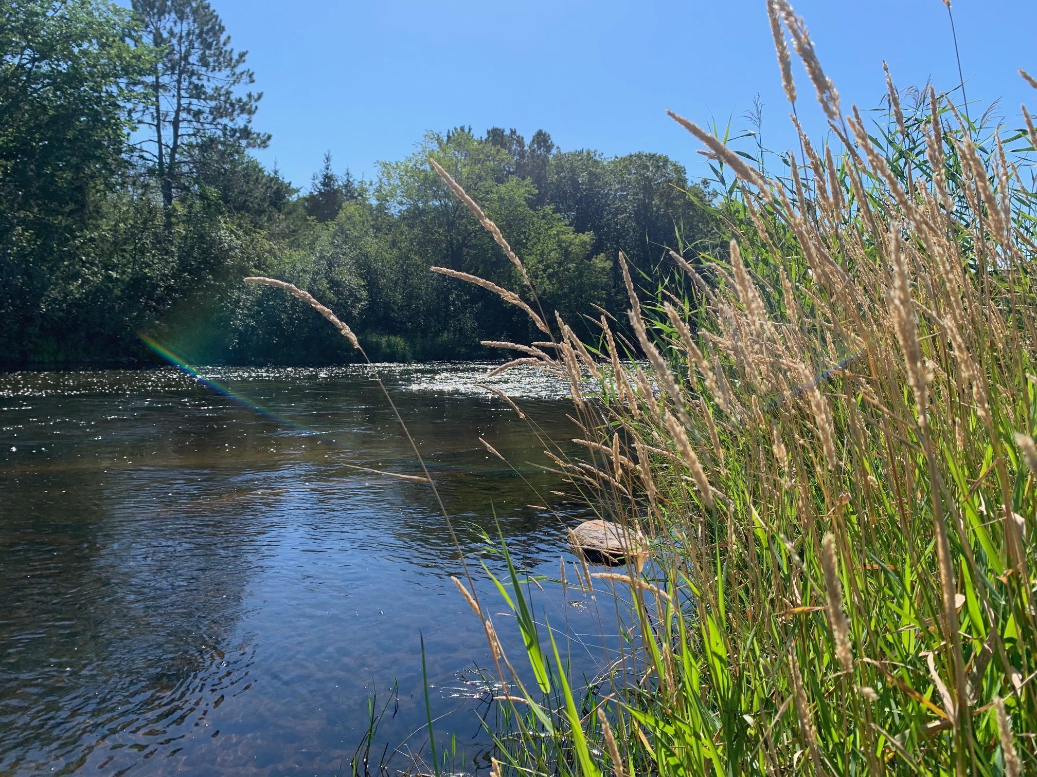 View of Land at 33464 125th Avenue, Onamia MN 56359, Onamia - Mike Wilen | Minnesota Team Real Estate