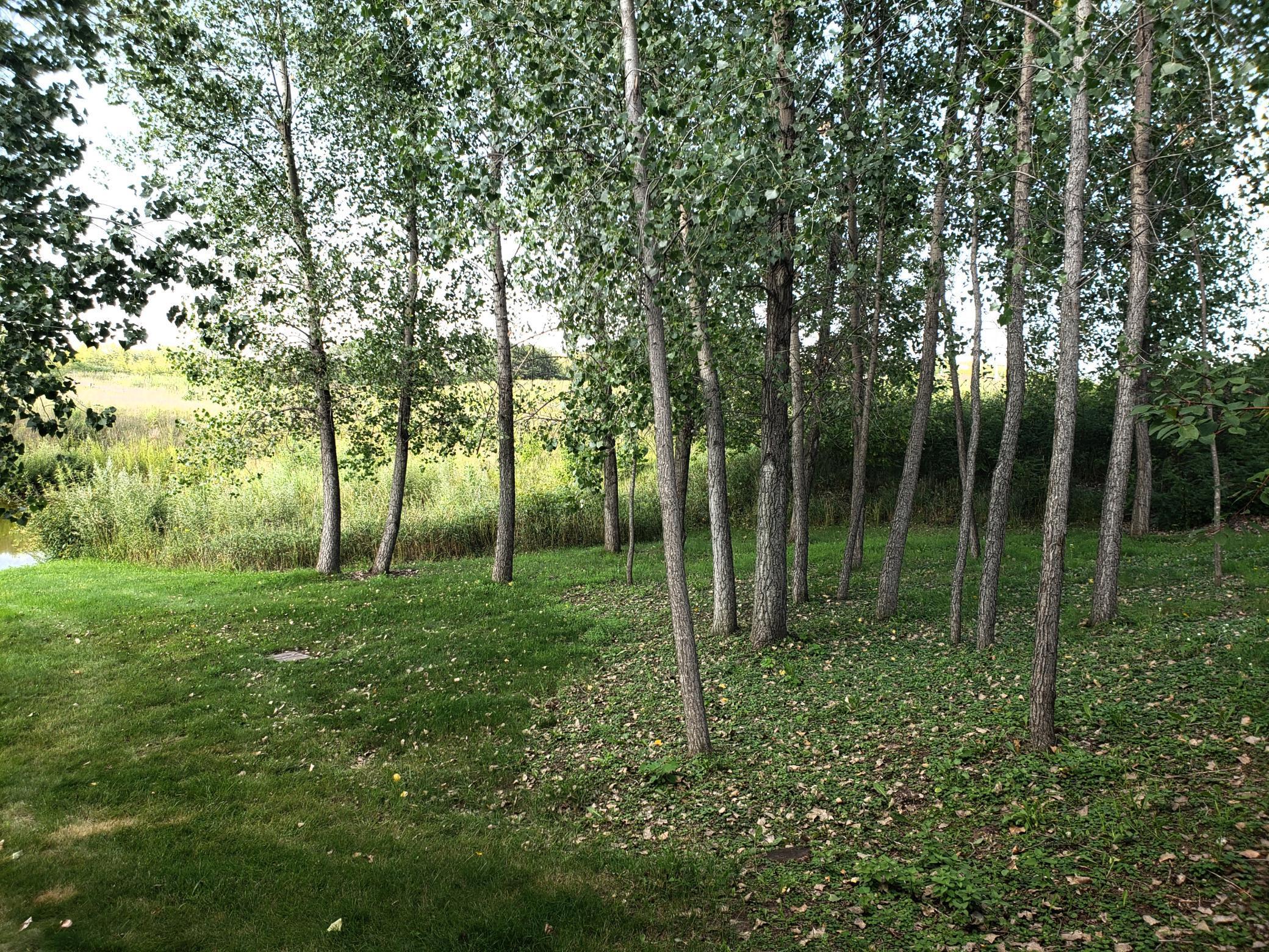View of Land at 2073 Woodlynn Avenue, Maplewood MN 55109, Maplewood - Mike Wilen | Minnesota Team Real Estate
