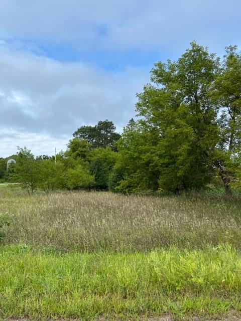 View of Land at XXX (Lot 1) Tulip Street, Isanti MN 55008, Isanti - Mike Wilen | Minnesota Team Real Estate