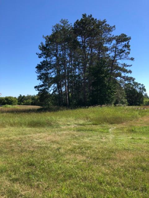View of Land at 40XXX Hemingway Avenue, North Branch MN 55056, North Branch - Mike Wilen | Minnesota Team Real Estate