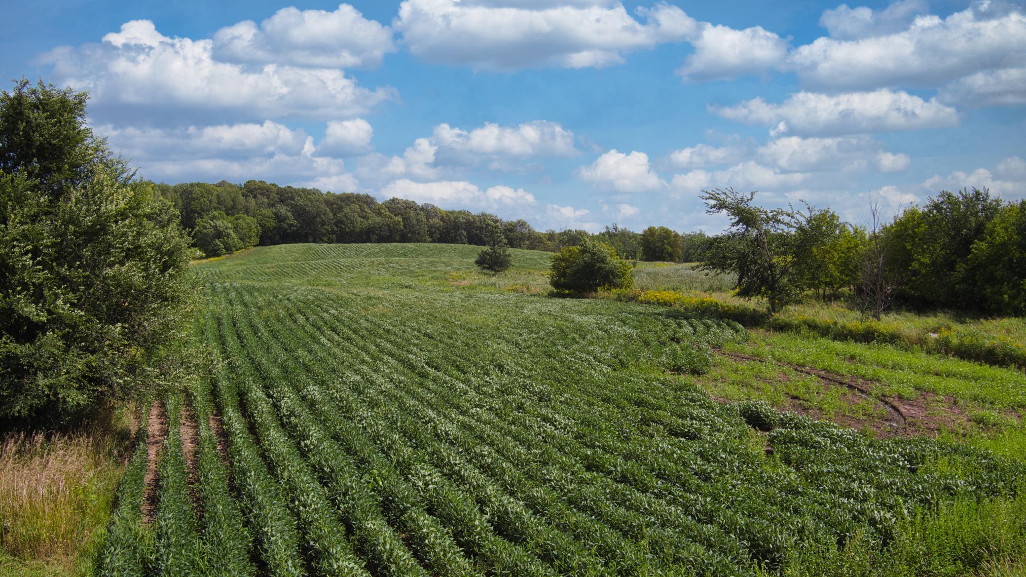 View of Land at TBD 65th Street, Princeton MN 55371, Princeton - Mike Wilen | Minnesota Team Real Estate