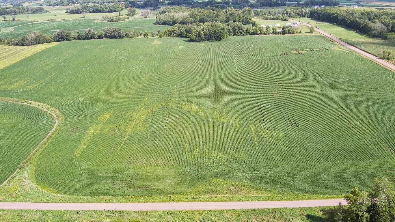 View of Land at Lot 3 Block 1 55th Avenue, Princeton MN 55371, Princeton - Mike Wilen | Minnesota Team Real Estate
