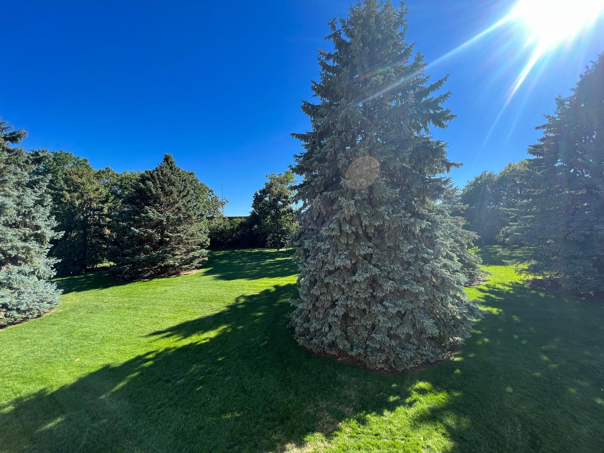 View of Residential at 120 96th Lane, Blaine MN 55434, Blaine - Mike Wilen | Minnesota Team Real Estate
