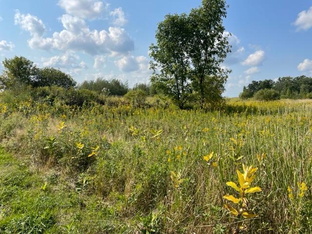View of Land at 8438 112th Avenue, Princeton MN 55371, Princeton - Mike Wilen | Minnesota Team Real Estate
