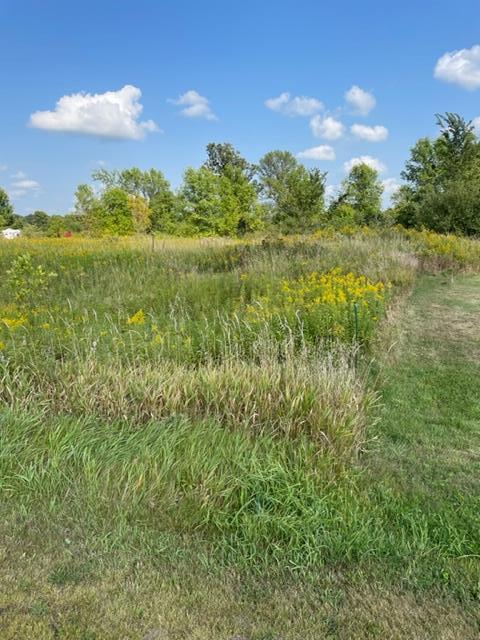 View of Land at 84XX 112th Avenue, Princeton MN 55371, Princeton - Mike Wilen | Minnesota Team Real Estate