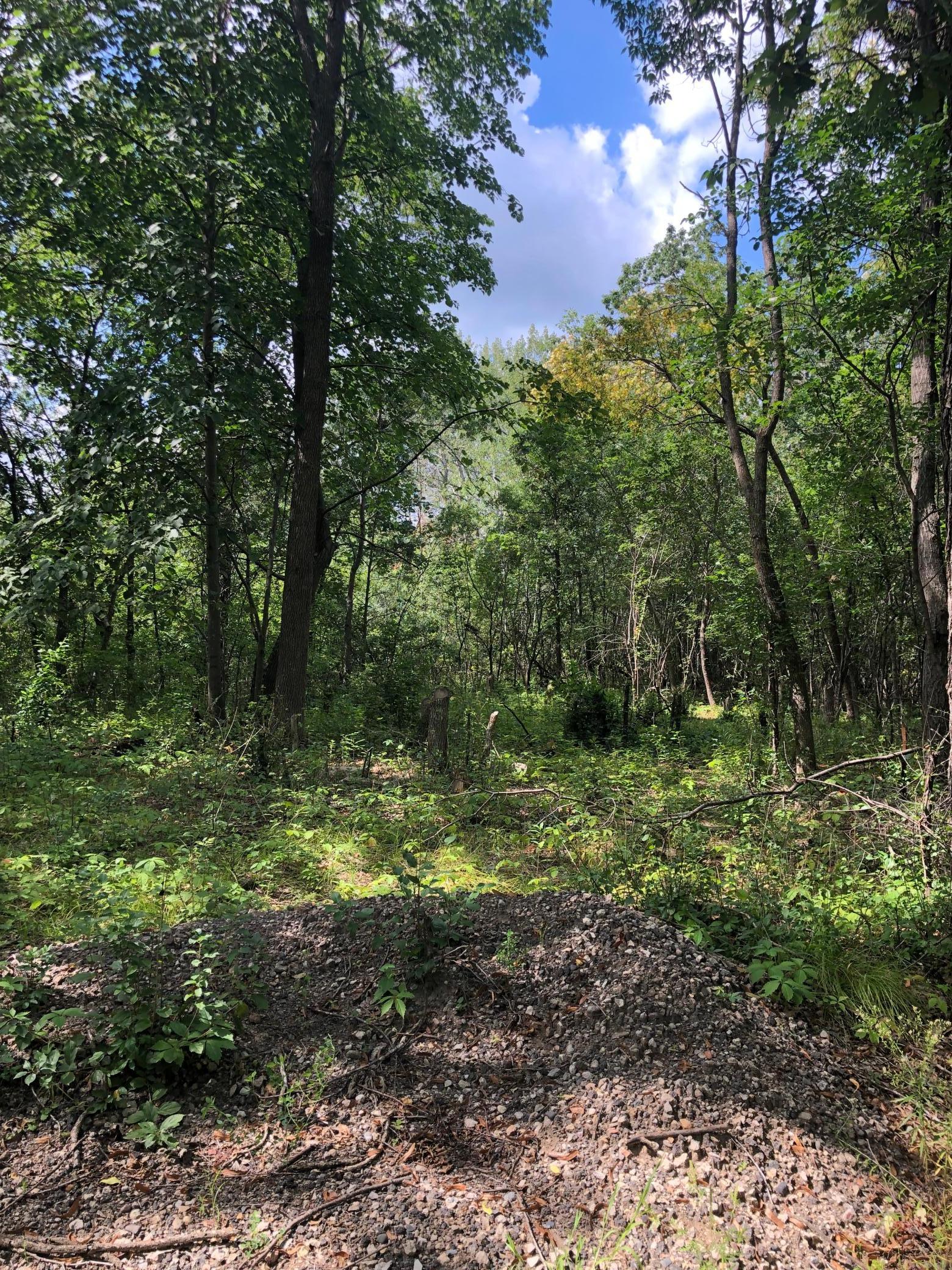 View of Land at Xxx 191st Street, Big Lake MN 55309, Big Lake - Mike Wilen | Minnesota Team Real Estate